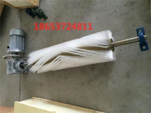 电动滚刷清扫器 高分子自调型清扫器